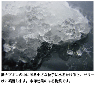 紙ナプキンとの違い 画像1
