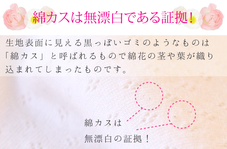 サイズ