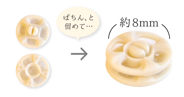 大きさ