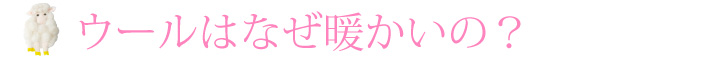 ウールはなぜ暖かいの