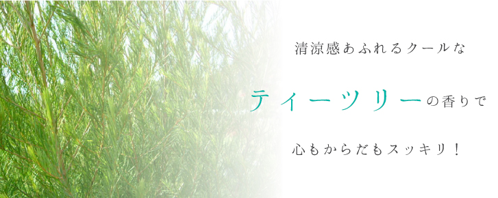 清涼感あふれるクールなティーツリーの香りで心もからだもスッキリ!